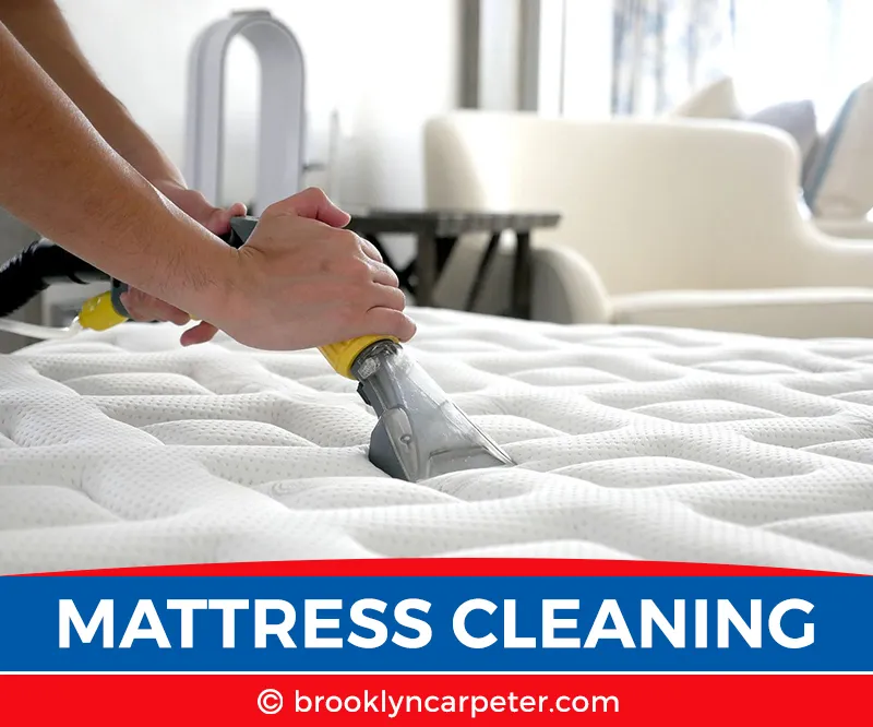 carpet cleaning in brooklyn, carpet cleaning in new york, carpet cleaning brooklyn, carpet cleaners in brooklyn, carpet cleaners in new york, commercial carpet cleaning, commercial carpet cleaning in brooklyn, brooklyn rug cleaners, rug cleaning services in brooklyn, same day carpet cleaning, same day rug cleaning